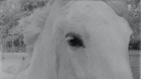 aea17a85-a053-42cb-ac72-802065512738_LaMarcheDeParisABrest_04