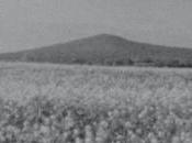 marche Paris Brest, film Vincent Port