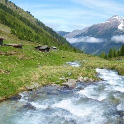 L'Ukrainienne  Joseph Winkler