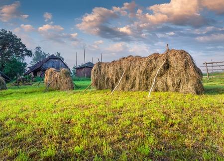L'Ukrainienne  Joseph Winkler