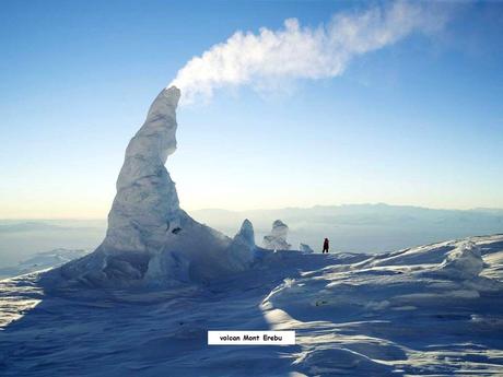 Divers - Les Merveilles du Gel - 2