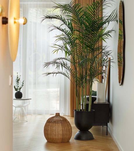 3 pièces à Tallinn agencer petite entrée couloir bambou palmier
