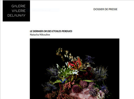 Galerie Valérie Delaunay – Exposition Natacha Nikouline / 6 moments de poésie – à partir du 14 Avril 2022.