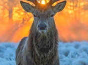 méthode simple facile pour stabiliser présence dans quotidien