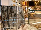 Laurier, restaurant Mavrommatis