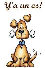 Divers - Images insolites 3