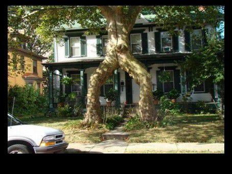 Divers - Images insolites 3