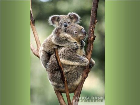 Divers - Le plus beau métier du Monde - 1