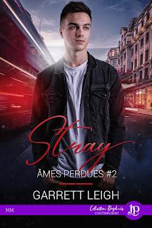 Ames perdues #2. Stray de Garrett Leigh