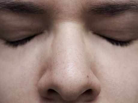 Nous Sommes Les Morts