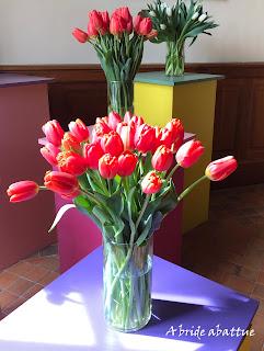 Une tulipe est baptisée Château de Cheverny