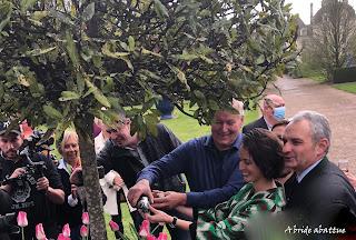 Une tulipe est baptisée Château de Cheverny