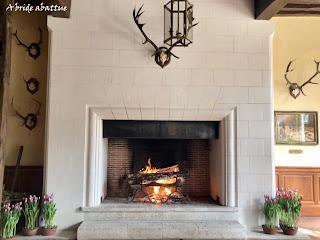 Une tulipe est baptisée Château de Cheverny