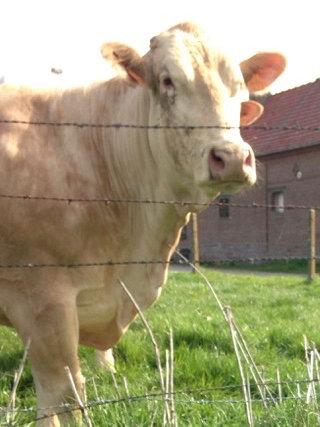 Toutes les vies, toutes les vies, toutes les vies fullsizeoutput_4201