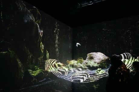 La vieille branche entre pleurable ou pas