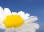 visiteurs amis internautes…