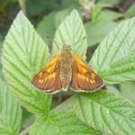 Blog vie, don’t worry