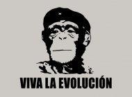 Tout les T Shirts à 12$ chez BustedTees