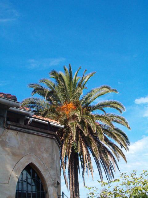 Mais où est passée l’auteur de ce blog ???