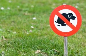 panneau crottes chien