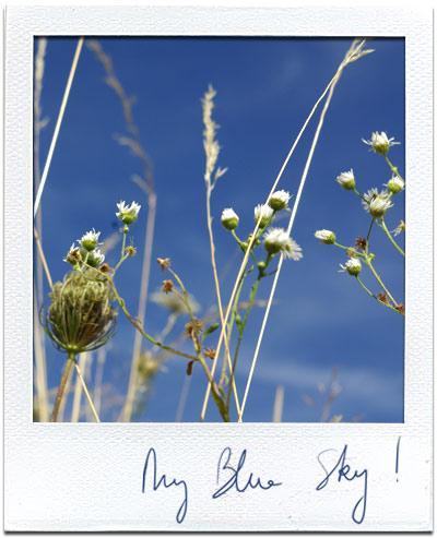 Mon ciel bleu du jour !