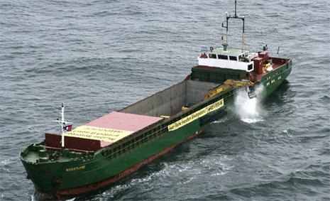 Opération de Greenpeace en Mer du Nord pour protéger les récifs de Sylt