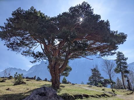Ostern 2022 in Mittenwald — 15 Bilder / 15 photos — Pâques 2022 à Mittenwald