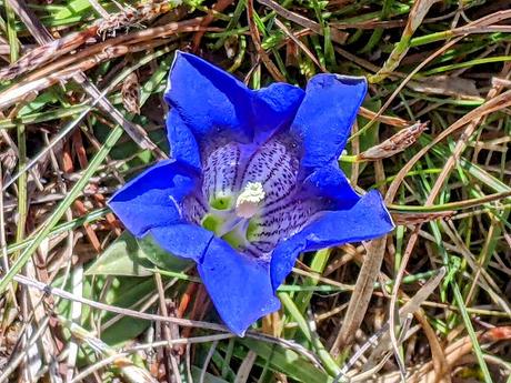 Ostern 2022 in Mittenwald — 15 Bilder / 15 photos — Pâques 2022 à Mittenwald
