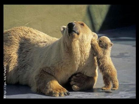 Divers - Le plus beau métier du Monde - 2