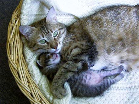 Divers - Le plus beau métier du Monde - 2