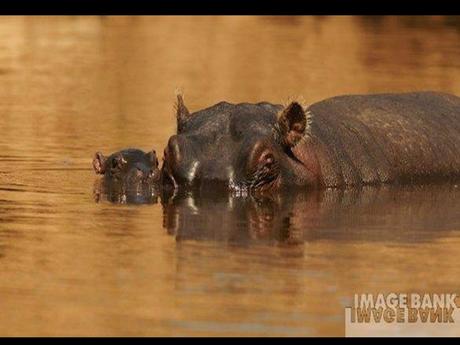 Divers - Le plus beau métier du Monde - 2