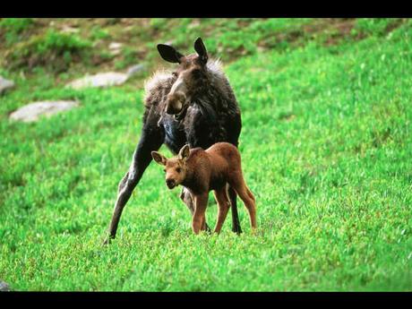 Divers - Le plus beau métier du Monde - 2