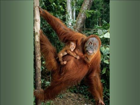 Divers - Le plus beau métier du Monde - 2