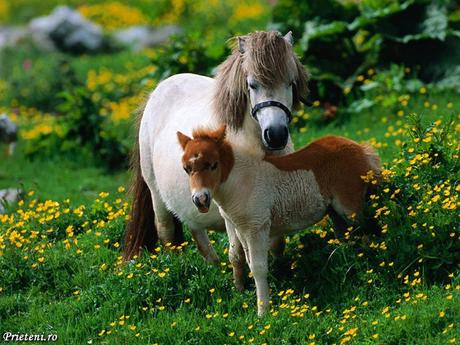 Divers - Le plus beau métier du Monde - 2