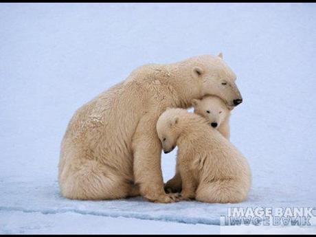 Divers - Le plus beau métier du Monde - 2