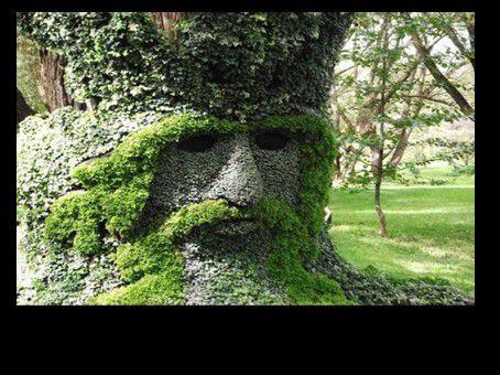 Divers - Images insolites - 4