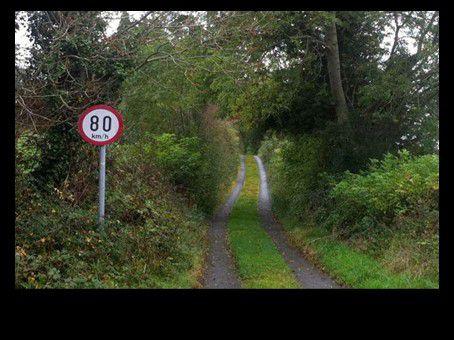 Divers - Images insolites - 4