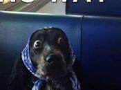 Macron aime tendrement l’internet très régulé