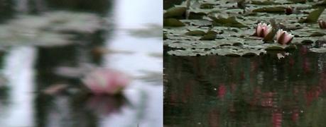 101%20D%27apr%C3%A8s%20Monet_Ange%20Leccia