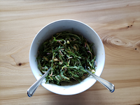 Récolte de pissenlit