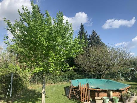 Quand on a rien à dire, autant se taire... Quand on a rien à dire, autant se taire...