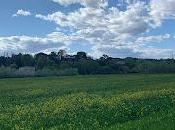 Quand rien dire, autant taire...