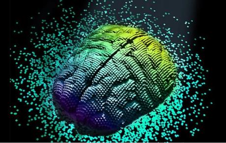 Cette recherche décrypte les processus de création et de migration des neurones au cours de la grossesse nécessaires à la « fabrication » d'un cerveau humain (Visuel www.mertensdesignlab.com) Cette recherche décrypte les processus de création et de migration des neurones au cours de la grossesse nécessaires à la « fabrication » d'un cerveau humain (Visuel www.mertensdesignlab.com)