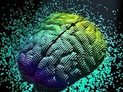 ÉPILEPSIE, troubles neurologiques Liés anomalies développement cérébral