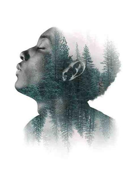 Comment découper une image sur Photoshop ?