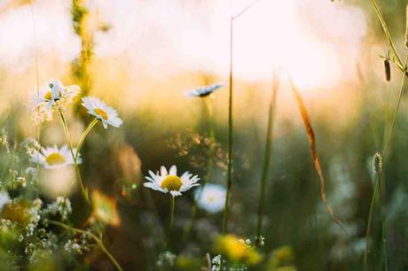 Pourquoi mon App Store ne fonctionne pas ?