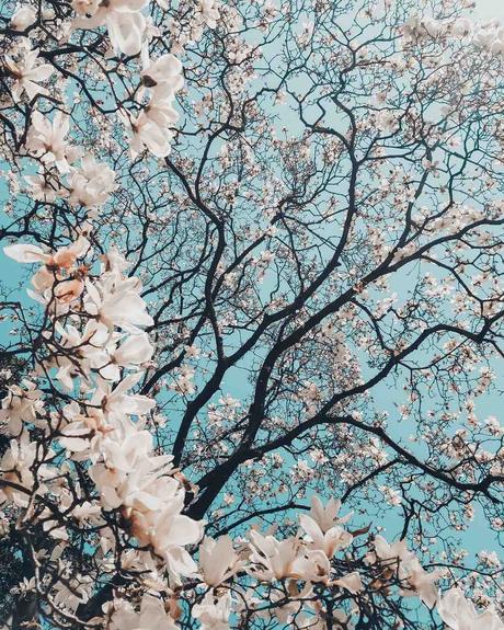 Pourquoi les applications ne s'installent pas iPhone ?