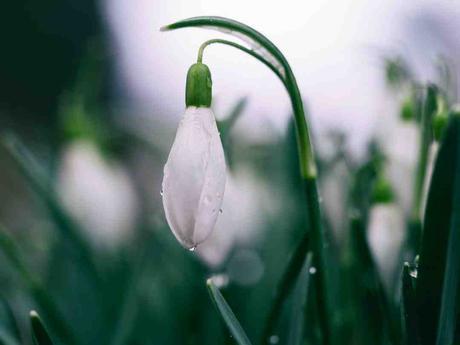 Comment retrouver un icône disparu sur iPhone ?