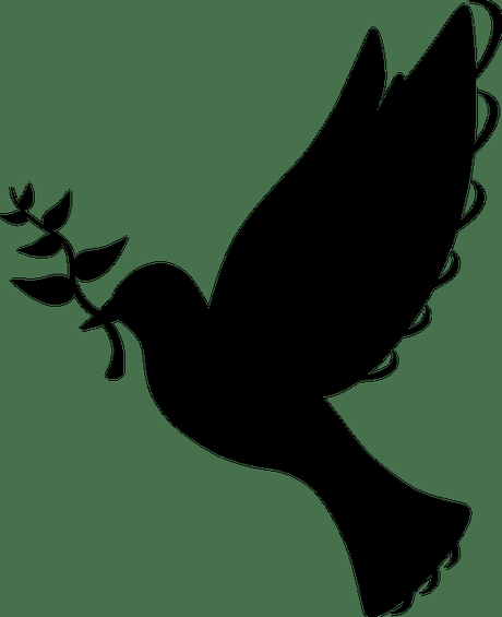 Le Souffle de Vie, Livre 1 : La Gardienne des Landes Gelées d’Arnaud J. Laplace et Chelsea Komorebi