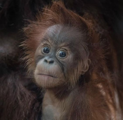 Les signes de l'éveil Les signes de l'éveil